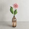 Elegant Soft Pink Dahlia with Layered Petals on White Background