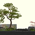 Landscape Modeling Pine Stone Wall Ting Step Micro Terrain 3d model