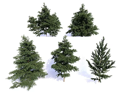 Different Types of Arbor Trees with Green Foliage and Diverse Shapes 3d model