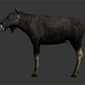 Realistic Tapir 3D Model With Dark Brown Body And Light Colored Legs Standing In Studio