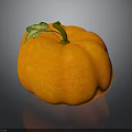 Orange Textured Pumpkin With Green Leaf And Vine On Dark Background