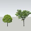 Modern Tree Landscape Tree 3d model