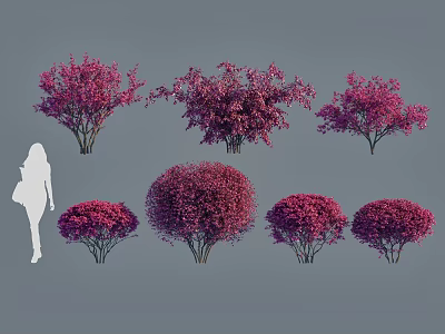 Different Varieties of Pink Flowering Shrubs in Garden Landscape Size with Human Silhouette 3d model