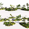 Tropical Greenery Arrangement With Various Plants Rocks And Mossy Ground