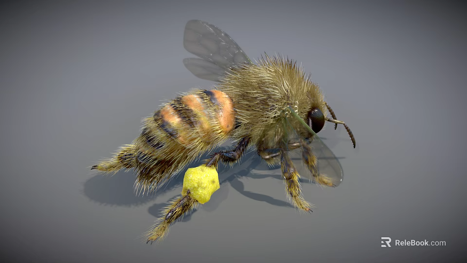 Fuzzy Bee With Black And Orange Stripes Carrying Yellow Pollen On Legs And Transparent Wings 3d model 