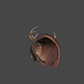 Realistic Deer Head Taxidermy Mount Isolated on Gray Background for Home Decoration