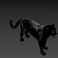 Realistic Black Panther Game Movie Character 3D Model on Green Background