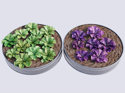 Crops Growing in Metal Pots With Green Leafy and Purple Flowering Plants 3d model