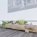 Bonsai Potted Plants In Rustic Log Planter With Colorful Flowers On Wooden Deck