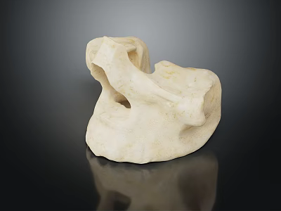 Natural White Irregular Shaped Porous Object On Black Reflective Background 3d model