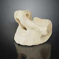 Natural White Irregular Shaped Porous Object On Black Reflective Background