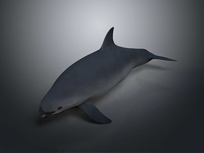 Realistic Gray Dolphin With Streamlined Body In 3D Rendered Underwater Scene 3d model