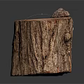 Natural Tree Stump With Rough Bark Texture And Wooden Surface Details