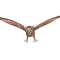 PBR Owl Bird Birds American Eagle Owl Eagle Owl Wild Animal Flying Animation with 12 sets of actions 3d model