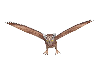 Mythical Flying Creature With Spread Brown Wings Horned Head And Yellow Eyes 3d model