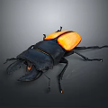 Detailed Black and Orange Beetle with Large Mandibles and Shiny Exoskeleton