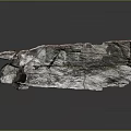 Organic Wood Stone Slab With Moss Covered Cracked Texture And Natural Rustic Charm
