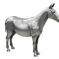Zebra 3d model