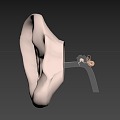 ear ear canal ear drum 3d model