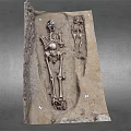 Two Ancient Human Skeletons Discovered In Archaeological Burial Excavation Site
