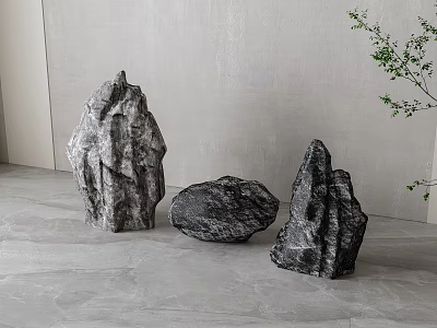 Natural Stone And Wooden Decor Pieces With Green Plant In Gray Interior 3d model