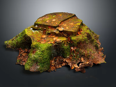 Detailed Natural Terrain With Moss Covered Stump Fallen Leaves And Organic Texture 3d model