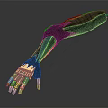 Modern Mechanical Arm Robot Arm Mechanical Arm Robot Arm 3d model