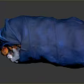 Blue Trash Bag Filled With Various Daily Household Waste Items
