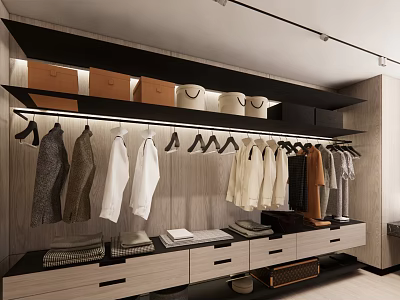 Modern Walk-in Closet Interior With Hanging Clothes Drawers And Storage Boxes 3d model