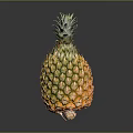 Fresh Ripe Pineapple with Vibrant Green Leaves and Golden Yellow Skin as Juicy Tropical Fruit