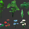Various Green Foliage And Colorful Flowers With Tropical Leaves And Fern Plants