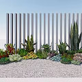 Mixed Succulent Plants Display With White Vertical Slat Fence On Gravel Ground