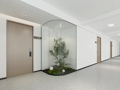 Modern Office Corridor With White Walls Wooden Doors Glass Partition Green Plant And Gray Floor 3d model
