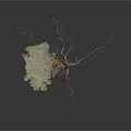 Slender Plant with Green Leaves White Roots and Orange Trunk against Dark Background