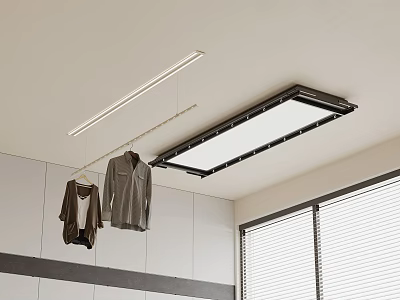 Ceiling Mounted Clothes Hanger With Lighting And Hanging Clothes In Indoor Space 3d model