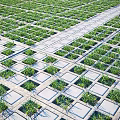 Neatly Arranged Plants Growing In Square Concrete Grids Forming Grid Pattern