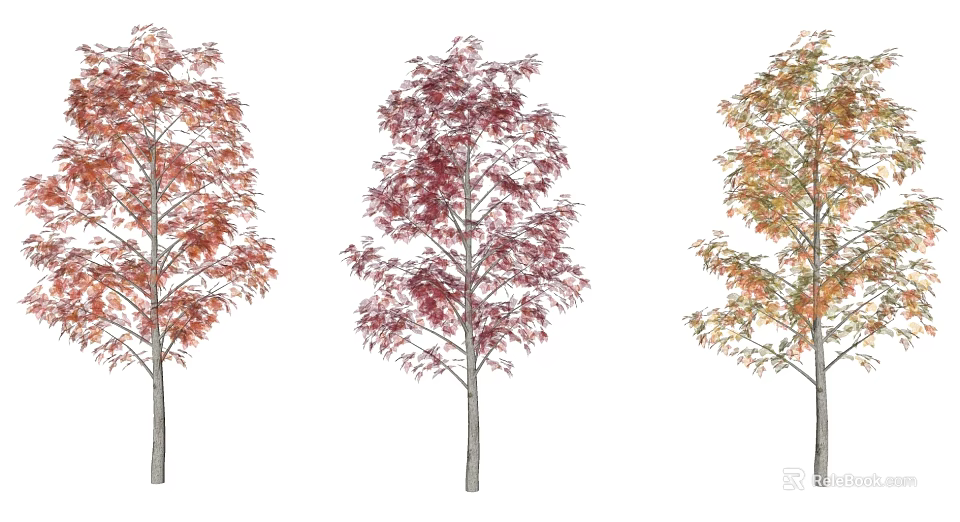 Autumn Arbor Collection With Red Pink And Orange Colored Leaves 3d model 