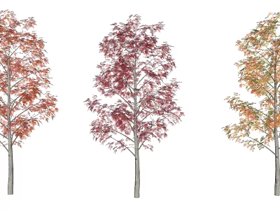 Autumn Arbor Collection With Red Pink And Orange Colored Leaves 3d model