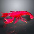 Striking Vibrant Red Lobster Aquatic Creature With Detailed Claws And Body Structure