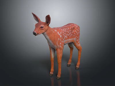Realistic 3D Fawn Model With Brown Coat And White Spots Standing On Gray Background 3d model