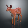Realistic 3D Fawn Model With Brown Coat And White Spots Standing On Gray Background