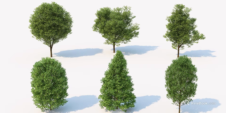 Various Arbor Tree Varieties with Different Shapes and Shadows on White Background 3d model