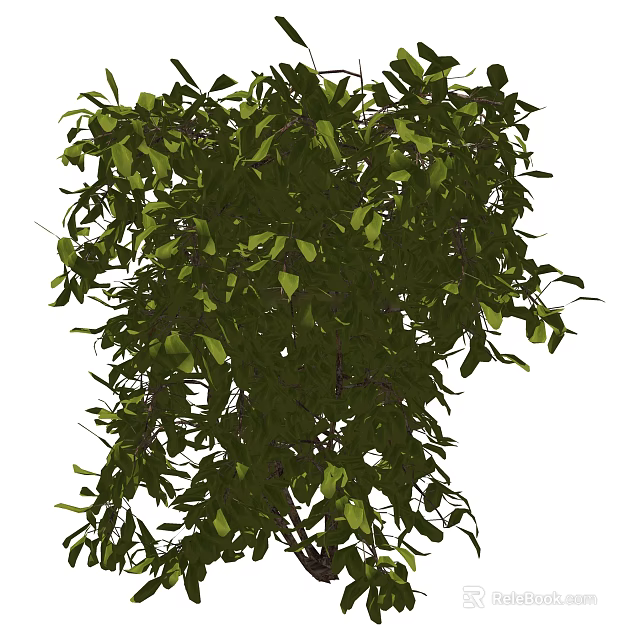 Lush Green Shrub With Dense Foliage And Vibrant Fresh Leaves 3d model 
