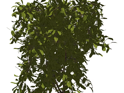 Lush Green Shrub With Dense Foliage And Vibrant Fresh Leaves 3d model