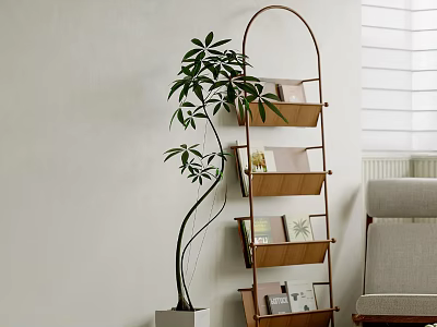 Arched Metal Frame Wooden Ladder Shelf With Books And Green Plant In Living Room 3d model