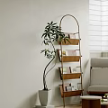 Arched Metal Frame Wooden Ladder Shelf With Books And Green Plant In Living Room