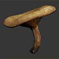 Fresh Orange Brown Mushroom With Large Cap Visible Texture And Thick Stem On Dark Background