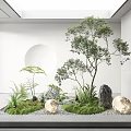 Indoor Landscape with Green Plants Trees Stones Round Decorations White Walls and Skylight