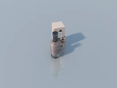Modern Hinged Door With Transparent Bottle And Patterned White Box 3d model