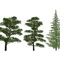 Three Green Arbor Trees With Lush Foliage And Various Growth Shapes